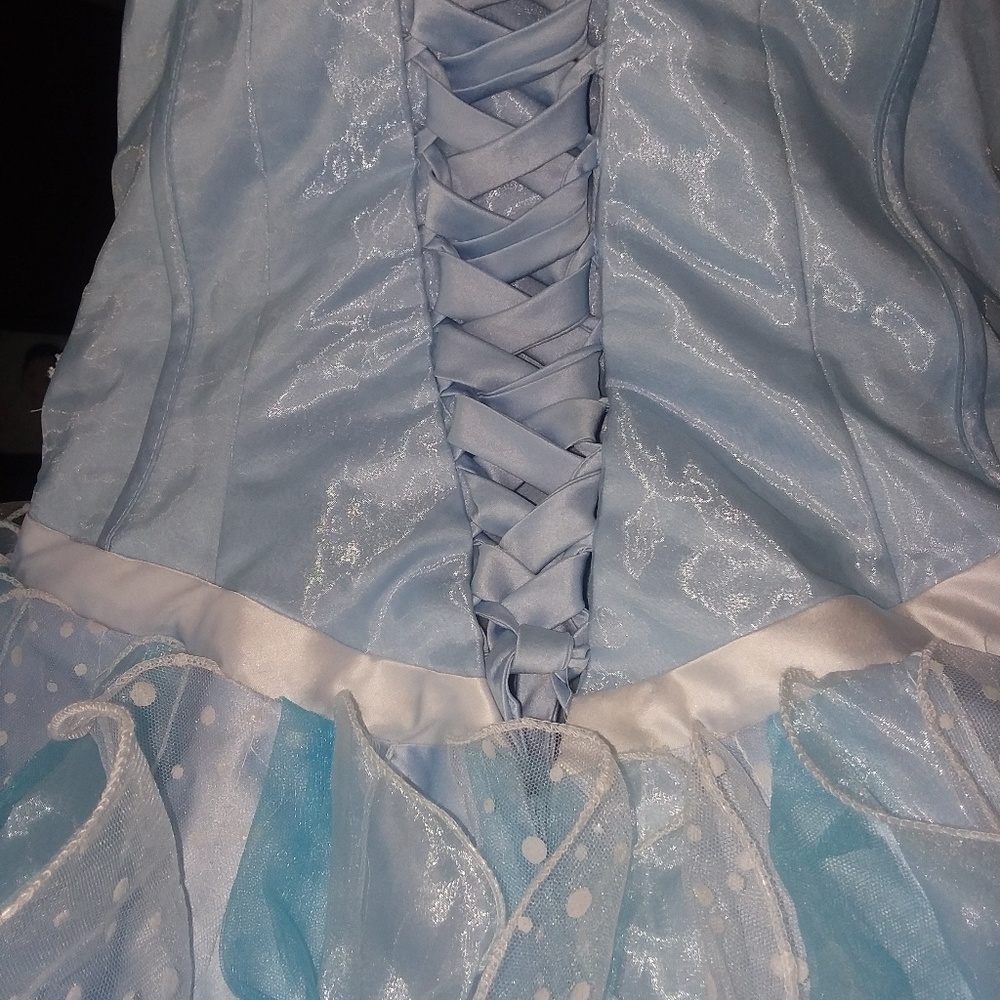 Quinceañera ball gown